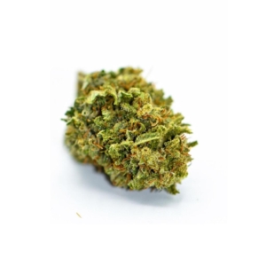 orange bud cbd blüte