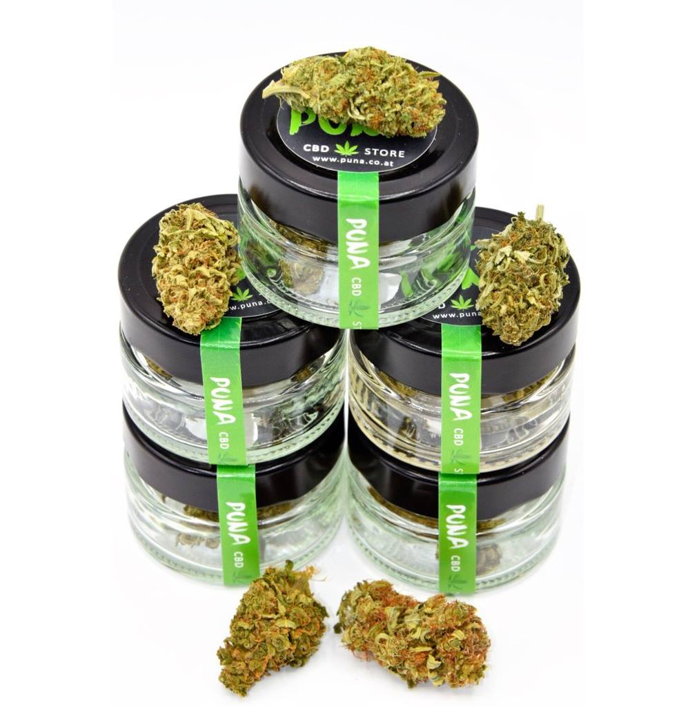 bio-cbd-bl-ten-testpaket-6g-alpenkraut