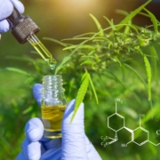 Cannabinoide - was sind das eigentlich?