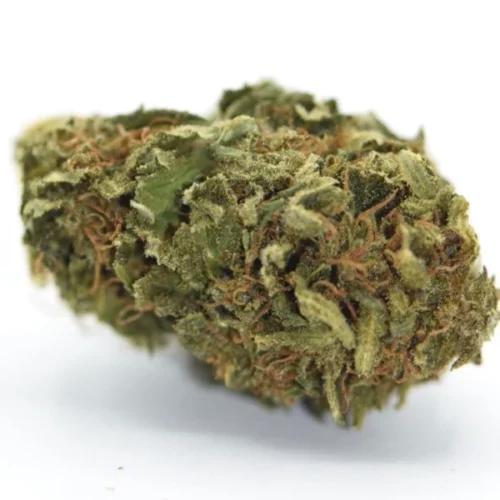 Orange Bud CBD Blüte - Cannabidiol knollen aus Indoor anbau. Bio-Qualität aus dem Alpenvorland