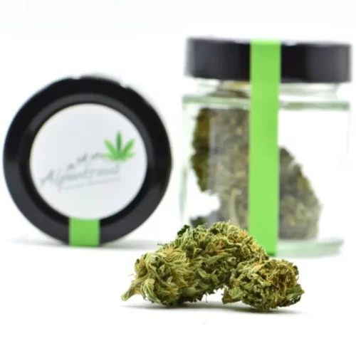 White Widow Bio CBD Blüten