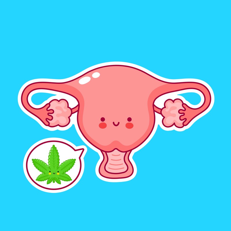 cbd menstruation