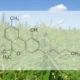 HHC Hexhydrocannabinol