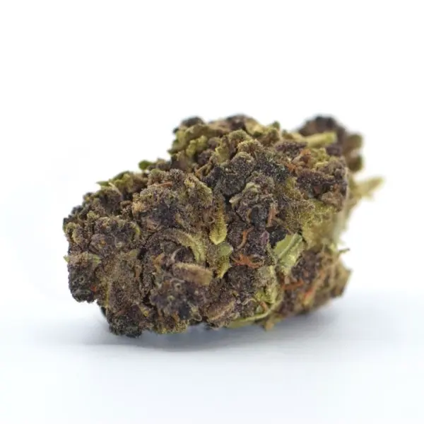 purple bud blüte