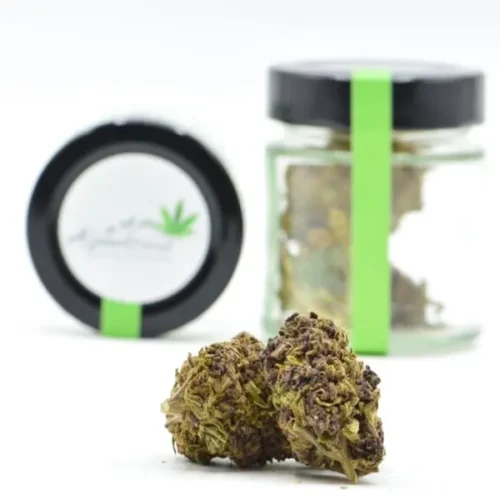 Purple Bud CBD Blüten kaufen bei Alpenkraut