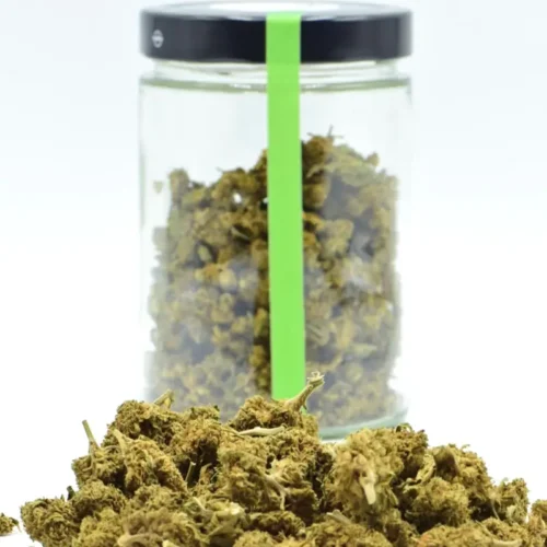 Indoor Premium Minibuds