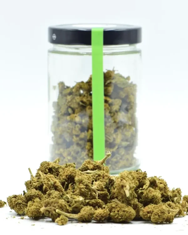Indoor Premium Minibuds