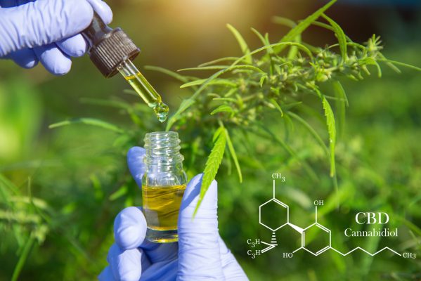 Cannabinoide - was sind das eigentlich?